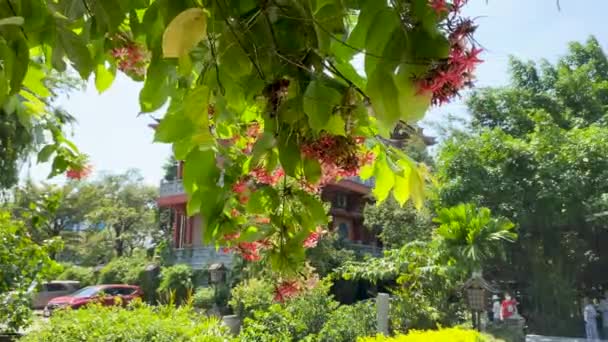 Adegan Halaman Kuil Khanh Monastery Kuil Jepang Vietnam — Stok Video