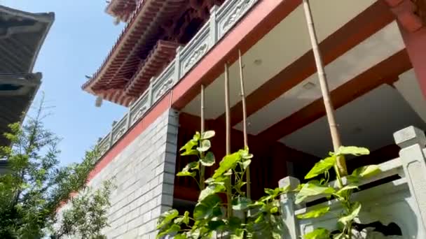 2022年10月16日 越南胡志明市 Khanh An修道院的低角景观 日本在越南的寺庙 — 图库视频影像