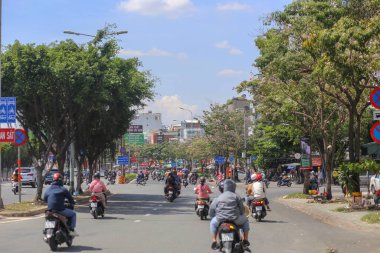 Ho Chi Minh Şehri, Vietnam - 05 Şubat 20: Ho Chi Minh City, Vietnam 'da pembe Tabebuia gülünün düşük açılı görüntüsü
