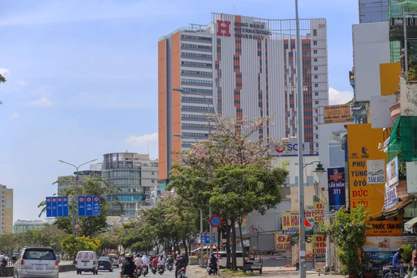 Chi Minh City Vietnam Feb Låg Vinkel Skott Rosa Tabebuia — Stockfoto