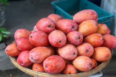 Kırmızı mango gibi meyveler Dam Market, Nha Trang City, Khanh Hoa 'da satılır.