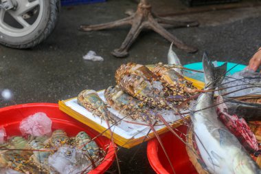 Istakoz, kerevit, baraj pazarında satılan deniz balığı, Nha Trang Şehri, Khanh Hoa