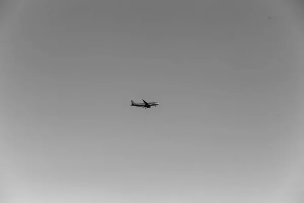 Самолет Летит Черно Белом Фоне Закате Хошимине — стоковое фото