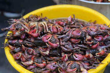 Vietnam mayalanmış keman yengeci sosu Chau Doc Market, An Giang Eyaleti 'nde satılıyor.