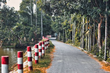 Bir sürü ağaçla kaplı bir nehir.