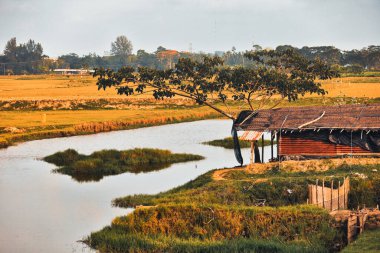 Nehrin yanında evleri ve otları olan bir kırsal bölge.
