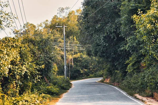 Esta Estrada Tem Caminho Sinuoso — Fotografia de Stock
