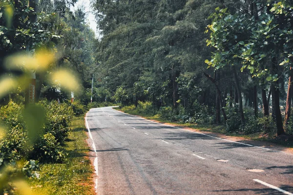Perto Uma Estrada Através Floresta — Fotografia de Stock