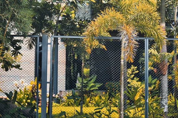 stock image a black railing surrounded by plants