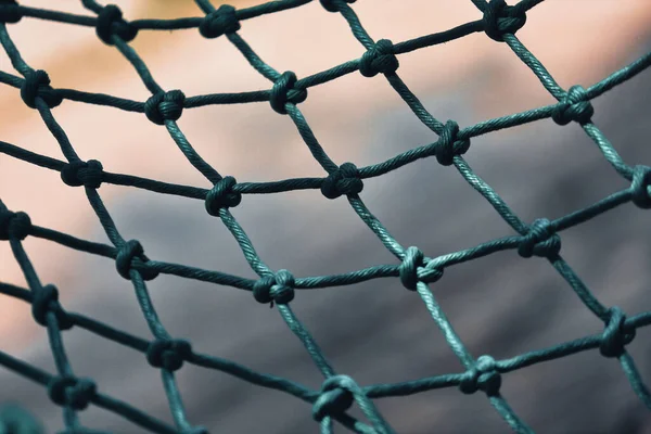 Blick Auf Das Geschlossene Netz Eines Grünen Netzes Stockbild