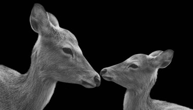 Güzel anne ve şirin bebek kafası yakın çekim.