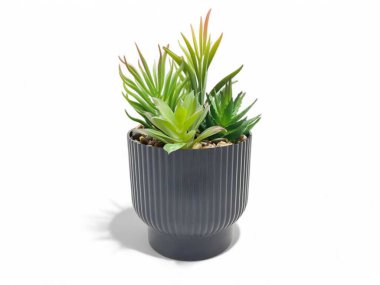 Ev dekorasyonu için tencerede yapay yeşil çimen