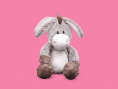 Tatlı eşek, masum tatlı yüzlü yumuşak bir oyuncak gibi oturuyor.