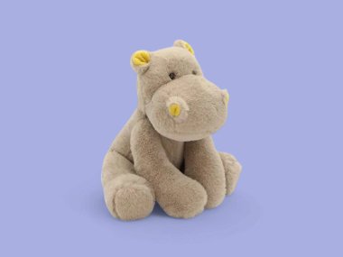 Mor arka planda oturan küçük tatlı su aygırı.