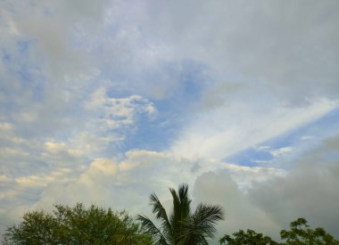 Palmiye ağaçları ve yumuşak güneş ışığıyla Bulutlu Gökyüzü