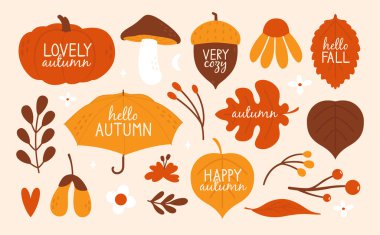 Elle çizilmiş sonbahar rozetleri, etiketler, çıkartmalar. Şemsiyeli, meşe palamudu, meşe yaprağı, balkabağı, mantar ve çiçeklerle şirin ve samimi tırmanışlar. Düz asgari tarzda modern çizimler. Merhaba sonbahar konsepti.