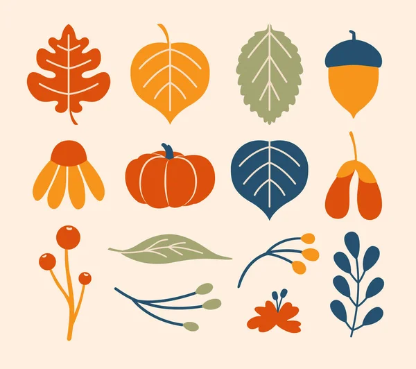 Handgezeichnete Illustrationen Von Blättern Eicheln Beeren Zweigen Kürbis Blumen Herbstfarben — Stockvektor