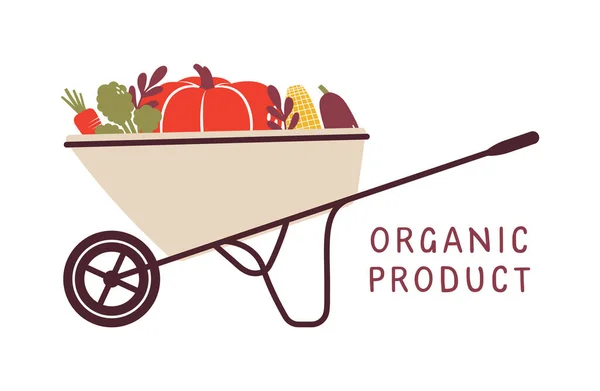 Wheelbarrow Fresh Vegetables Pumpkin Broccoli Carrot Wagon Handcart Veggies Organic — Stock Vector