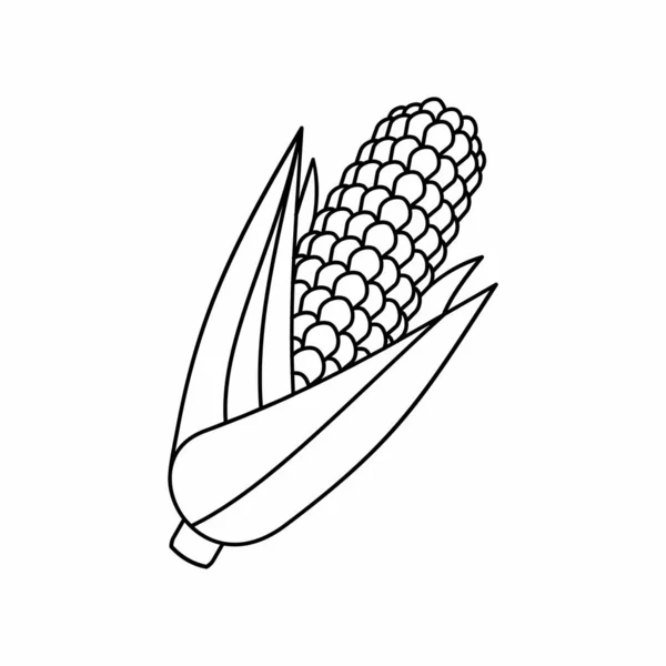 トウモロコシコブが葉で耳を整理 ベクトルイラスト — ストックベクタ