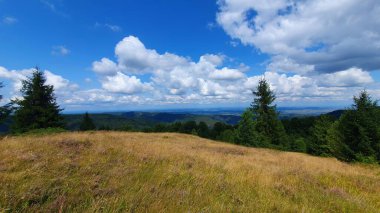 Yeşil çimenli, çam ağaçlı, mavi gökyüzü ve yaz gününde beyaz bulutlu dağın tepesi manzarası. Ijar, Tarnita, Cluj, Romanya