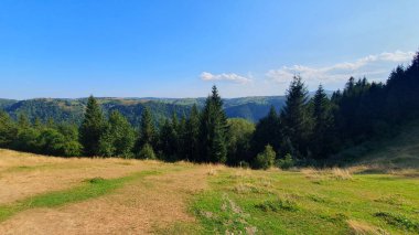 Dağın tepesindeki çayır manzarası. Yeşil ve sarı çimenler, yeşil ağaçlar. Orman ve uzak dağlar. Mavi yaz gökyüzü. Marisel, Cluj, Romanya
