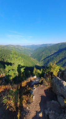 Dağın tepesinde dikilip vadiye bakıyorum. Yeşil çam ağacı orman dağları. Açık mavi gökyüzü. Güzel bir yaz günü. Yürüyüş yolunun sonundaki Rocky Cliff. Tacla Gavrii, Marisel, Cluj, Romanya