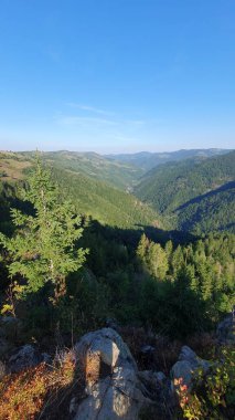 Kayalık dağın tepesinden görülen yeşil vadi. Çam ormanları ve mavi gökyüzü. Güneşli bir yaz günü. Güzel yürüyüş parkuru. Tacla Gavrii, Marisel, Cluj, Romanya