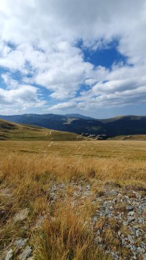 Looking at Parang Mountains from the side of the Transalpina Road on a summer day. Alpine grass in foreground, white clouds on a blue sky. Valcea, Romania clipart