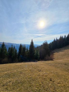 Güneş, arka planda sonsuz yeşil ormanlarla dağların tepesinde parlıyor ve uzaktaki dağ manzarası, güzel bir bahar gününde. Marisel, Cluj, Romanya
