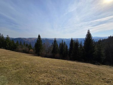 Güneş, arka planda sonsuz yeşil ormanlarla dağların tepesinde parlıyor ve uzaktaki dağ manzarası, güzel bir bahar gününde. Marisel, Cluj, Romanya