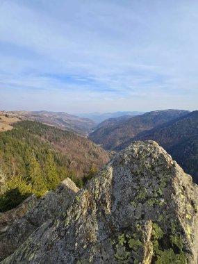Güneşli bir bahar gününde dağın tepesinden, arka plandaki ormanlardaki yosun kayalarına doğru manzara. Tacla Gavrii, Marisel, Cluj, Romanya