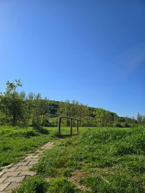 Güneşteki küçük derenin üzerindeki ahşap köprü, arka planda yeşil çimenler, ağaçlar ve orman. Cluj, Romanya