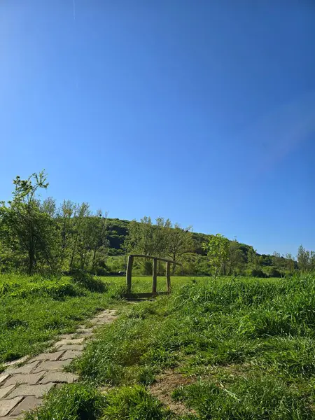 Güneşteki küçük derenin üzerindeki ahşap köprü, arka planda yeşil çimenler, ağaçlar ve orman. Cluj, Romanya