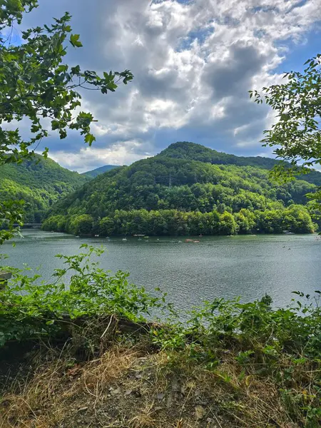 Tarnita Gölü manzaralı güzel bir yaz haftasonu sabahı su sporları yapan insanlarla. Mavi gökyüzü ve beyaz bulutları olan yeşil orman. Cluj, Romanya