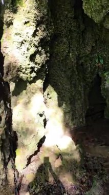 Karpatların Trascau Dağları 'ndaki Cascada Sipote' deki (Cascadele de travertin) travertin kayalarından düşen su damlacıkları gibi. Alba, Romanya