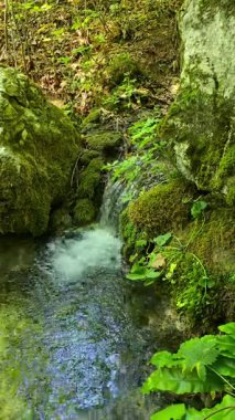 Karpatlar 'ın Trascau Dağları' ndaki Cascada Sipote Şelalesi 'nde (Sipote Şelalesi) güneş ile birlikte ormandaki kayalar ve yapraklar arasından akan rahatlatıcı su akıntısı. Alba, Romanya