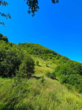 Parlak yeşil çimenler ve ağaçların yamaçlarında açık mavi gökyüzü ve Karpat Dağları 'nda güzel bir yaz günü. Salciua, Alba, Romanya