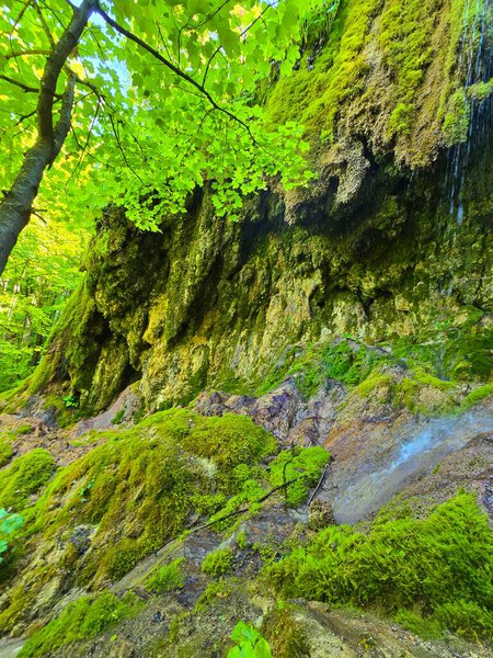 Green moss travertine rocks at Sipote Waterfall in a bright green forest on a sunny summer day. Salciua, Alba, Romania
