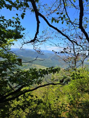 Dağların üzerinden, ağaç dallarından ve Bedeleu Dağı 'ndan Aries Vadisi' ne temiz mavi bir yaz gününde yürüyüş parkuruna bakıyorum. Salciua, Alba, Romanya
