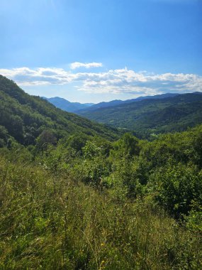 Güneşli bir yaz gününde Bedeleu yürüyüş parkurundan yeşil orman dağlarının üzerindeki manzara. Salciua, Alba, Romanya
