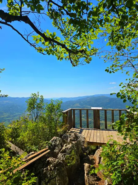 Platoul Bedeleu - La Balcon. Güneşli bir yaz gününde, Bedeleu Dağı 'nın tepesindeki tahta balkondan Aries Vadisi' nin etrafını çevreleyen parlak yeşil ağaçlar ve yosun kayaları harika görünüyor. Salciua, Alba, Romanya