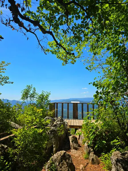 Platoul Bedeleu - La Balcon. Güneşli bir yaz gününde, Bedeleu Dağı 'nın tepesindeki tahta balkondan Aries Vadisi' nin etrafını çevreleyen parlak yeşil ağaçlar ve yosun kayaları harika görünüyor. Salciua, Alba, Romanya