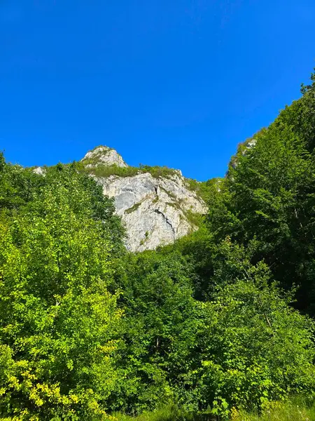 Masivul Bedeleu, güneşli bir yaz günü açık mavi gökyüzünde, açık yeşil ormanda yürüyüş parkurunda Cascada Sipote otlağından görüldü. Salciua, Alba, Romanya