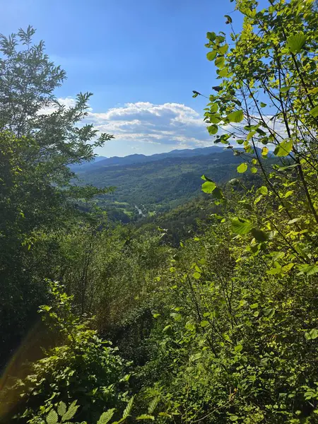 Güneşli bir yaz gününde Bedeleu Dağı yürüyüş parkurundan Aries Vadisi 'nin güzel manzarası. Salciua, Alba, Romanya