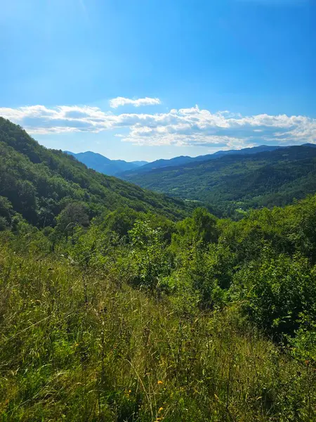 Güneşli bir yaz gününde Bedeleu yürüyüş parkurundan yeşil orman dağlarının üzerindeki manzara. Salciua, Alba, Romanya