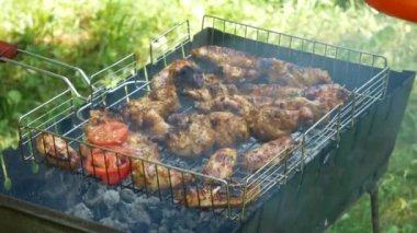 Grilled chicken being placed on a white plate. Fried chicken meats on an open air. Chicken meats are fried on charcoal. B-B-Q. Concept food picnic and camping. Close-up