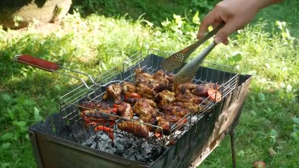 Fried Chicken Meats Tomatoes Grill Outdoors Fried Food Fried Smoked — Wideo stockowe