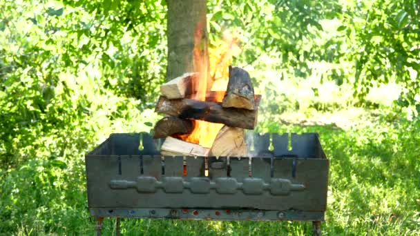 Accensione Legna Ardere Betulla Tagliata Bruciare Legna Nel Vecchio Barbecue — Video Stock