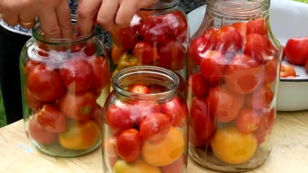 Konserwacja Konserwacja Solone Marynowane Pomidory Słoikach Drewnianym Stole Pikantne Pomidory — Wideo stockowe