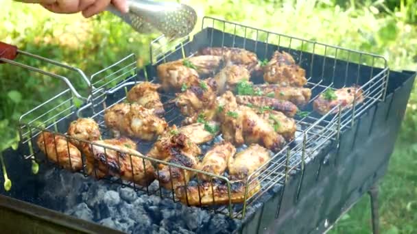 Roasting Grill Fried Chicken Meats Grill Outdoors Fried Food Fried — Vídeo de Stock